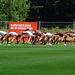 St. Pauli 1. Training 10-11  077