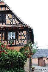 maison typique d'Alsace
