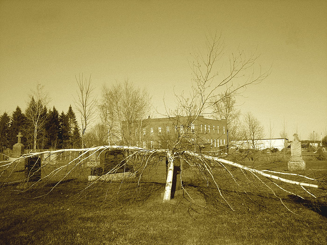 Cimetière et église / Church and cemetery - St-Eugène / Ontario, CANADA -  04-04-2010 - Sepia