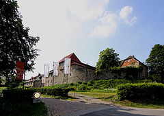 20100624 6077WSaw Burg Sternberg