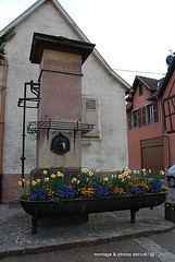 Pompe-fontaine Wintzenheim