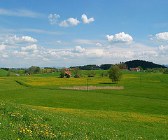 Oberschwaben - abseits der Hauptstraßen