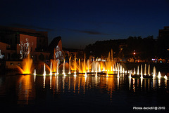 DSC 8536