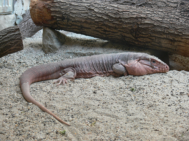 Tierpark Straubing