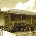 Maison cubaine / Cuban house - Varadero, CUBA. 6 février 2010 - Sepia