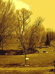 Peaceful family park /  Parc familial et paisible - St-Césaire. Québec. CANADA - 25 avril 2010 -  Sepia postérisé