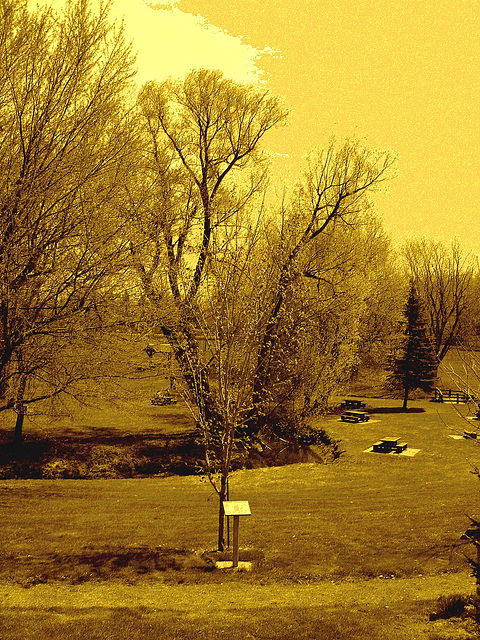 Peaceful family park /  Parc familial et paisible - St-Césaire. Québec. CANADA - 25 avril 2010 -  Sepia postérisé