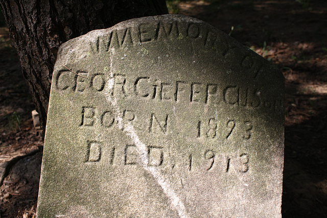 31.MountZionCemetery.Georgetown.27O.NW.WDC.21June2010