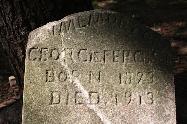 32.MountZionCemetery.Georgetown.27O.NW.WDC.21June2010