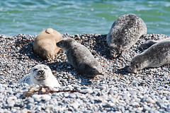 Sun bath 2