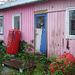 La maison Red gang house /  Christiania - Copenhague - Copenhagen.  26 octobre 2008