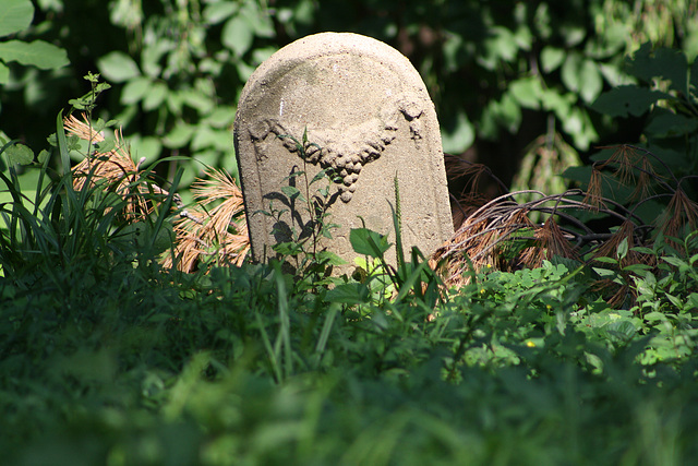 41.MountZionCemetery.Georgetown.27O.NW.WDC.21June2010