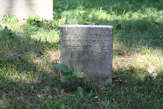 46.MountZionCemetery.Georgetown.27O.NW.WDC.21June2010