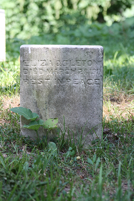 47.MountZionCemetery.Georgetown.27O.NW.WDC.21June2010