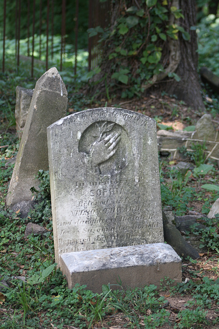 51.MountZionCemetery.Georgetown.27O.NW.WDC.21June2010