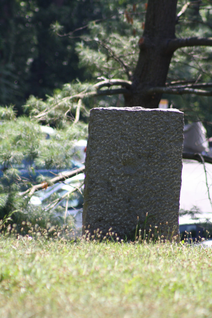 57.MountZionCemetery.Georgetown.27O.NW.WDC.21June2010