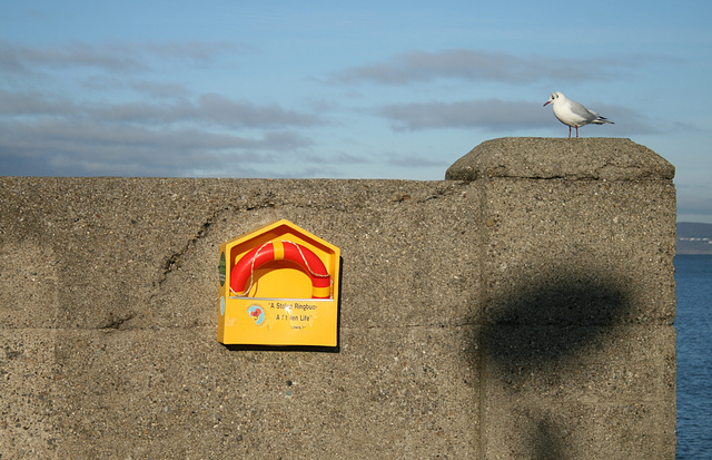 a stolen ringbuoy