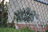01.Graffiti.9thStreet.NW.WDC.28April2010