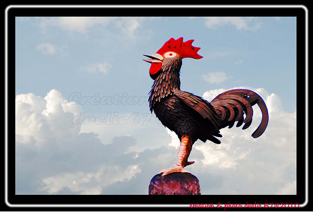 coq 3