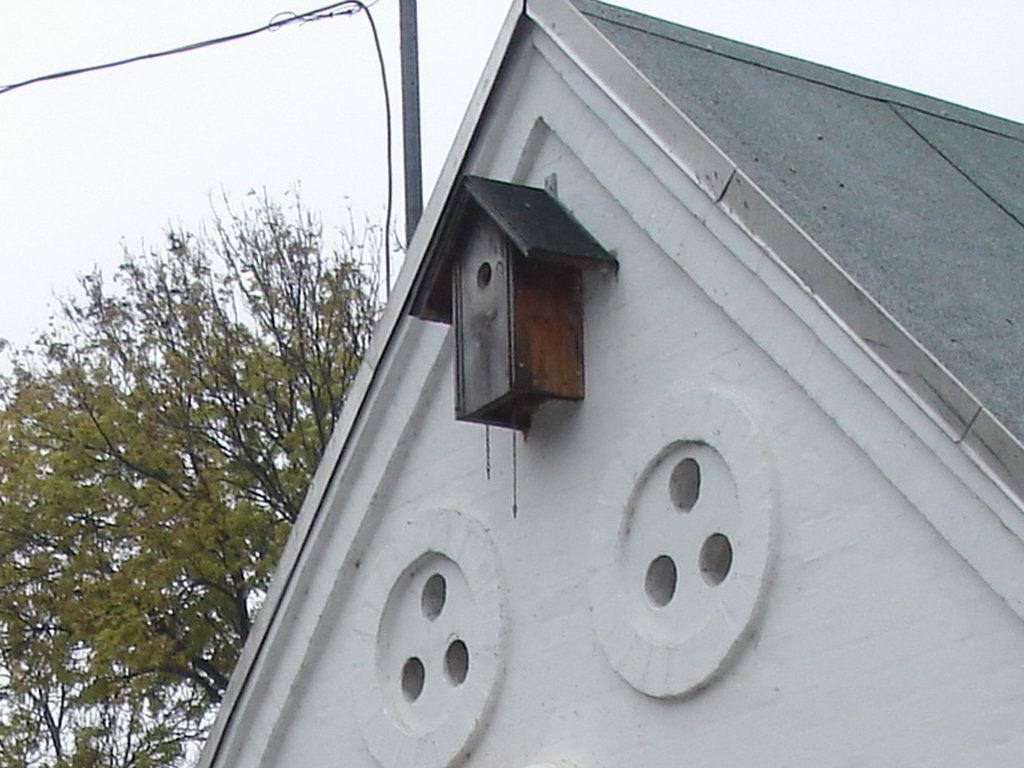 House bird toilet home  / Toilette et oiseaux - Christiania / Copenhague - Copenhagen.  26 octobre 2008