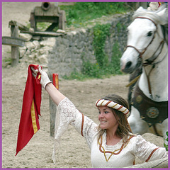 Thibaud de Champagne à Provins