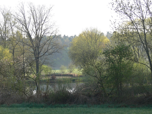 kleiner Weiher