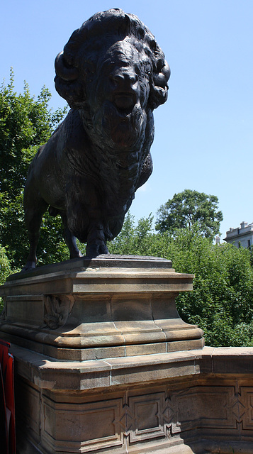 03.Bisons.AlexanderPhimisterProctor.QStreetBridge.NW.WDC.21June2010