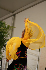 84.SmithsonianFolklifeFestival.WDC.3July2010