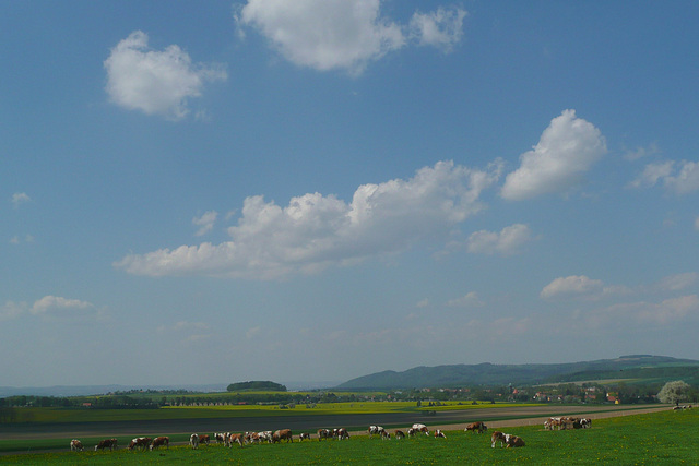 Sächsische Schweiz bei Lohmen