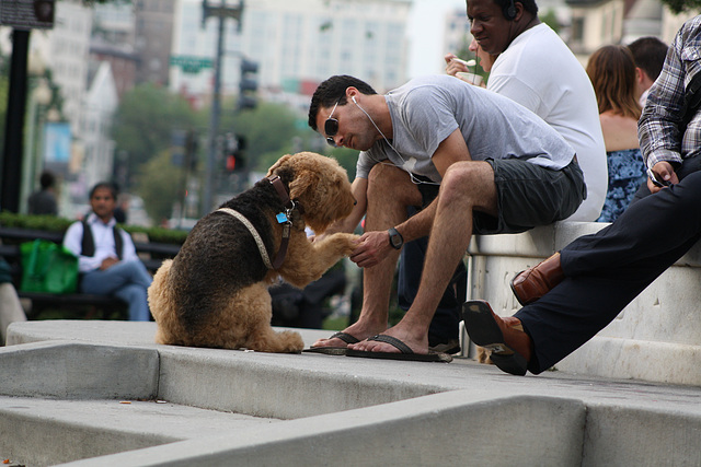 33.DupontCircle.WDC.21May2010