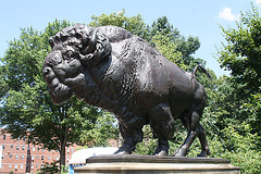 10.Bisons.AlexanderPhimisterProctor.QStreetBridge.NW.WDC.21June2010