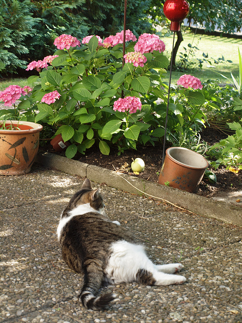 Leni im Garten