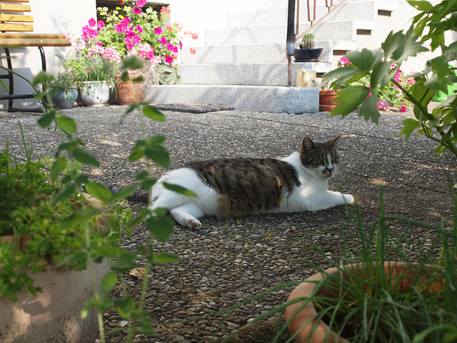 Leni im Garten