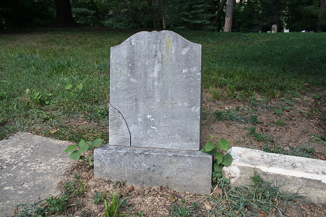 149.MountZionCemetery.Georgetown.27O.NW.WDC.21June2010