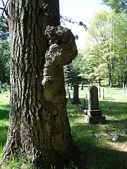 Cimetière de Gouverneur cemetery  / NY. USA / États-unis.   16 mai 2010