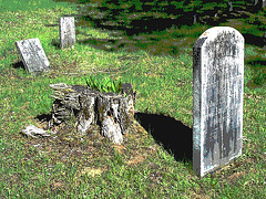 Cimetière de Gouverneur cemetery  / NY. USA / États-unis.   16 mai 2010 - Postérisation