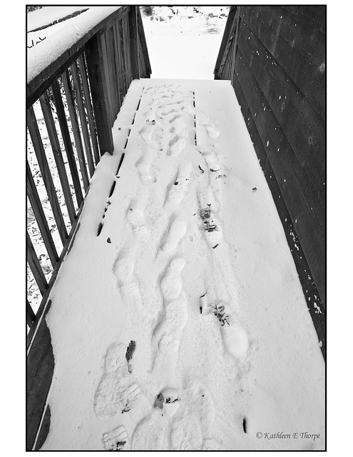 Snow Black and White Footprints