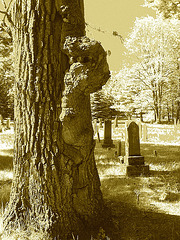 Cimetière de Gouverneur cemetery  / NY. USA / États-unis.   16 mai 2010 - Sepia postérisé