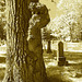 Cimetière de Gouverneur cemetery  / NY. USA / États-unis.   16 mai 2010 - Sepia postérisé