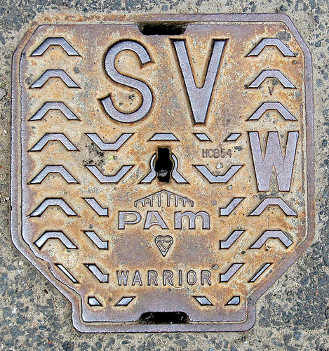 SV PAm Warrior
