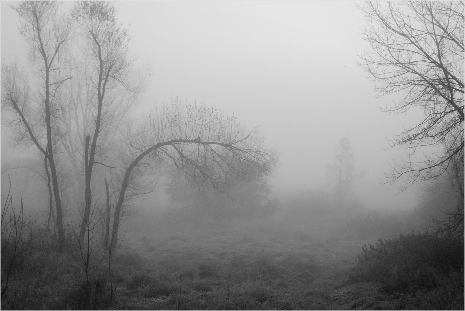 In a Fog