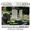 CDCover.CallingToOldSouls.Trance.Summer.July2010