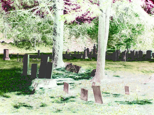 Cimetière de Gouverneur cemetery  / NY. USA / États-unis.   16 mai 2010- Négatif RVB