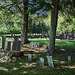 Cimetière de Gouverneur cemetery  / NY. USA / États-unis.   16 mai 2010  - Darkened monuments /  Monuments noircis
