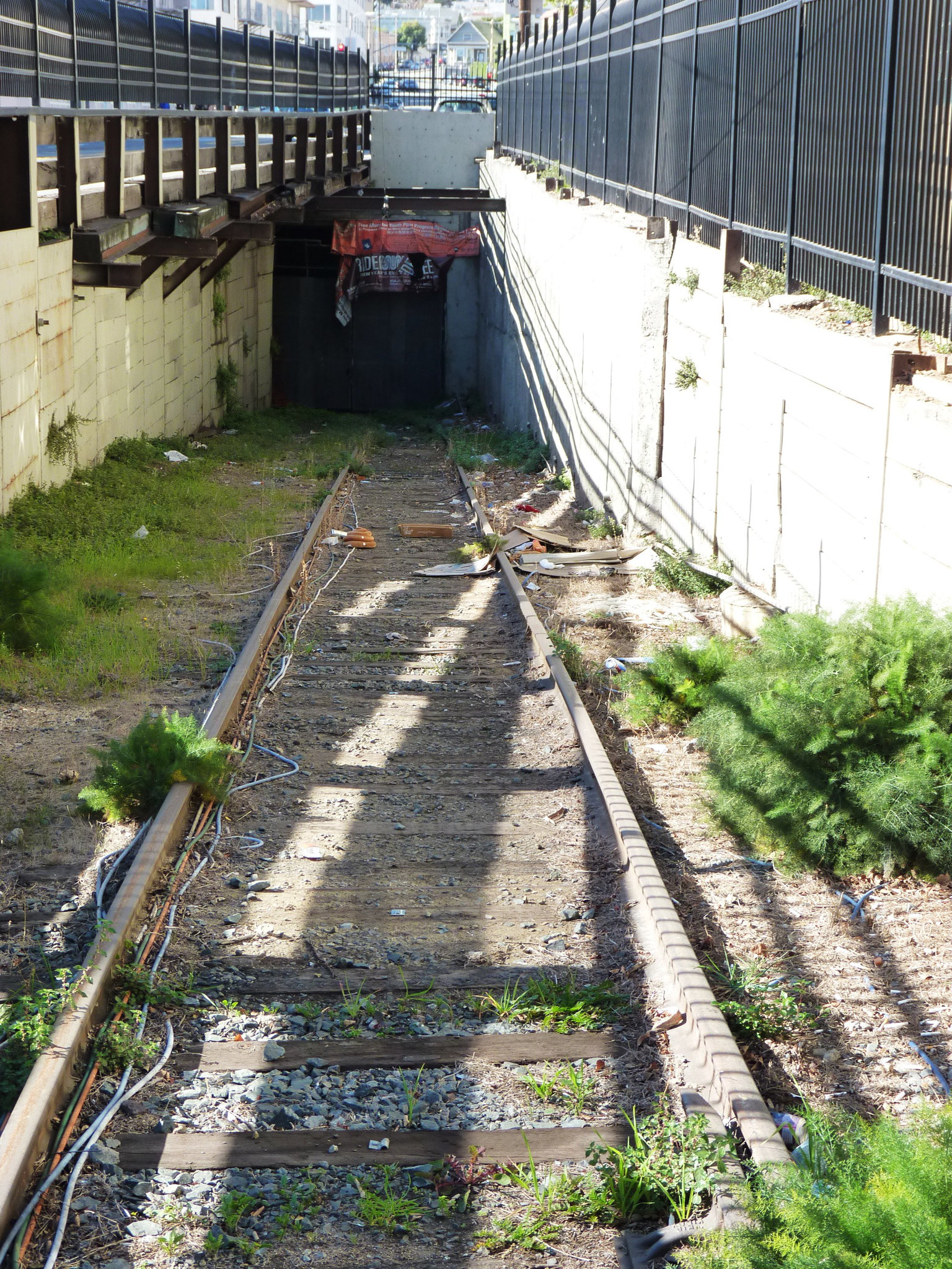 Twin Peaks Tunnel (3) - 17 November 2013