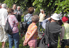 2010-06-25 025 Eo - Studený