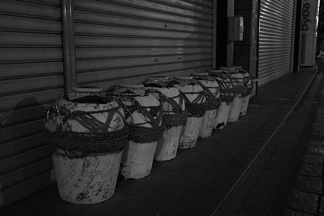 Sake by night