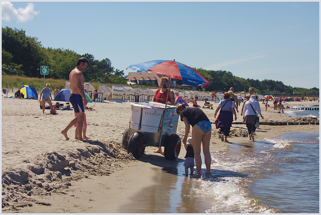 Ice on the beach