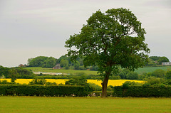 Haughton countryside