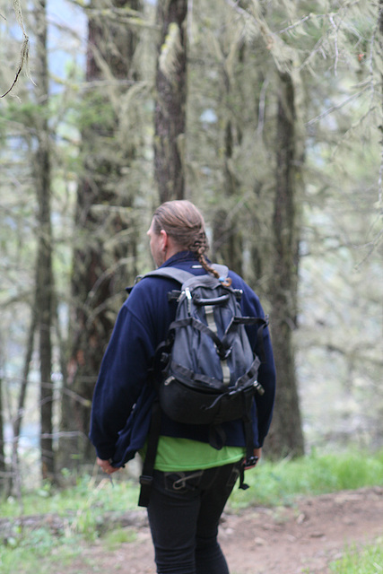 Walking in the Forest Above Williams Lake